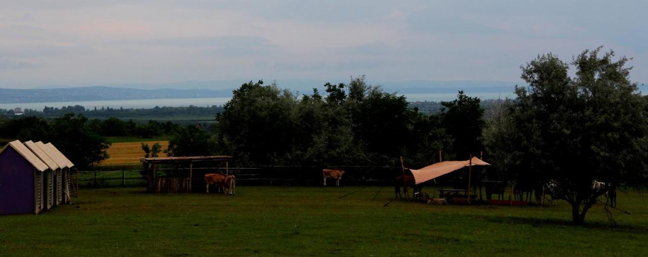 Dharma Horse Shelter Bungalows & Farmping Siófok Exteriér fotografie