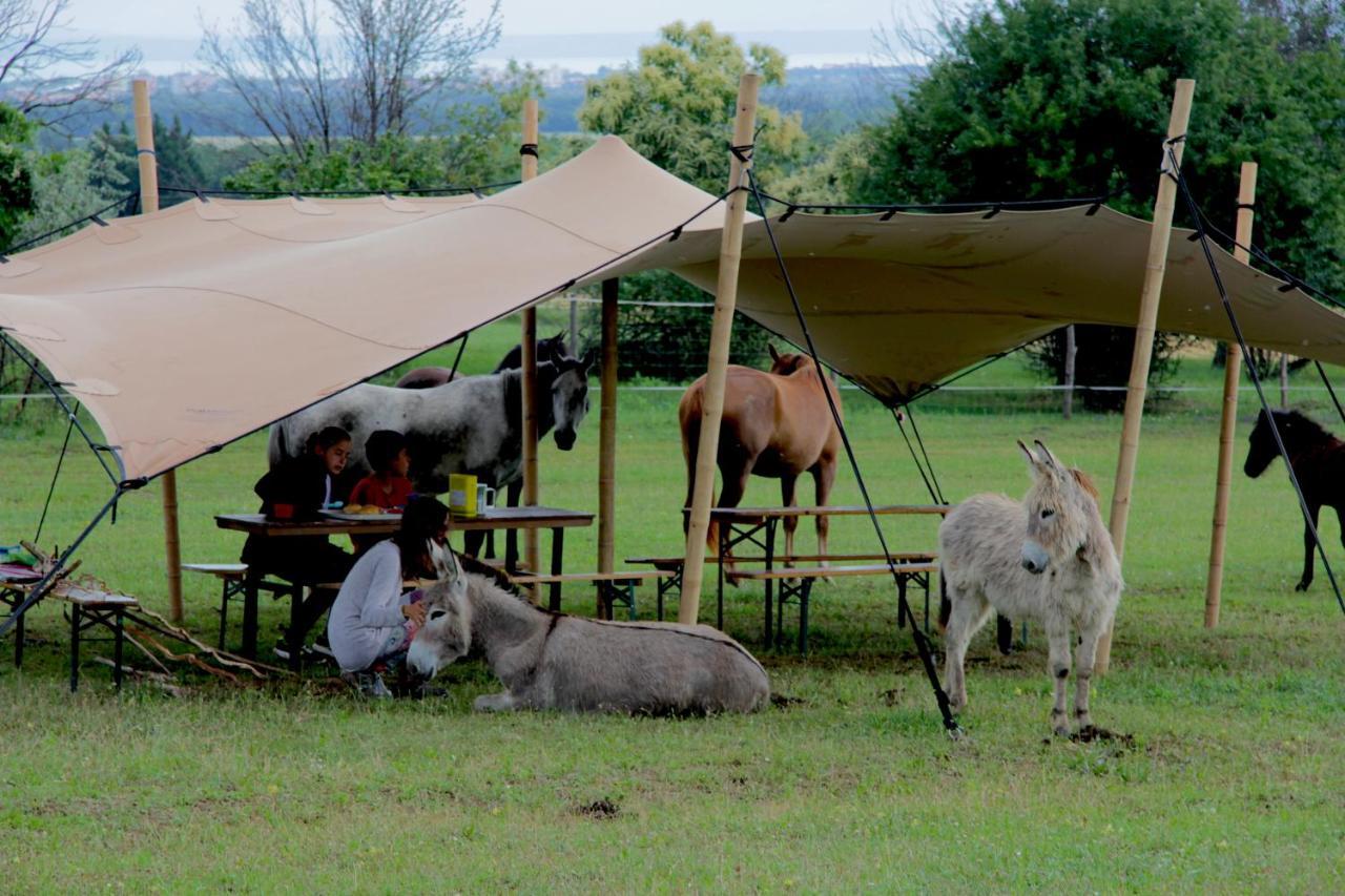Dharma Horse Shelter Bungalows & Farmping Siófok Exteriér fotografie